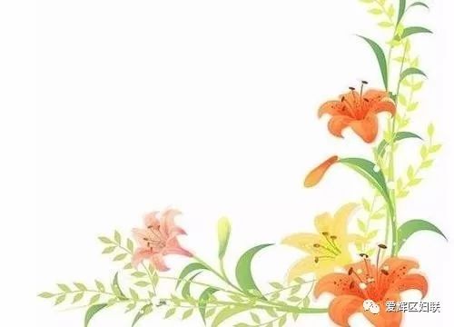 最美媳妇评选,最美儿媳都有谁