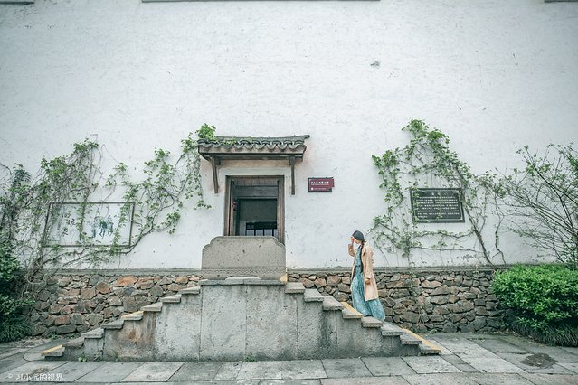 天目湖南山竹海三黑三白,南山竹海加天目湖二日游