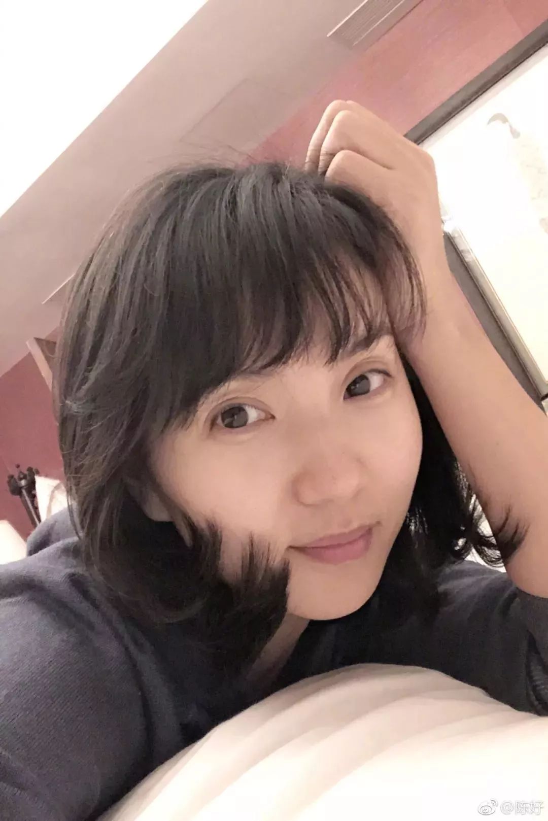 陈好历程,大家还记得当初的万人迷陈好吗