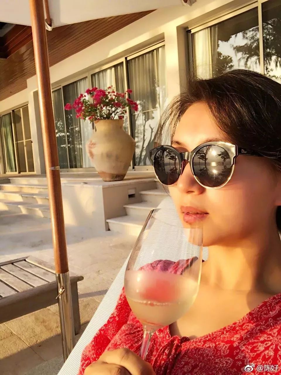 陈好历程,大家还记得当初的万人迷陈好吗