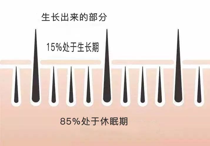 睫毛一定要翘才好看吗,睫毛一定要补吗