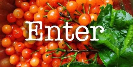 成都人打字,输入法打不出来的东北话