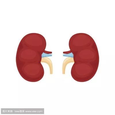 科普肾脏,医学科普出汗和肾脏关系