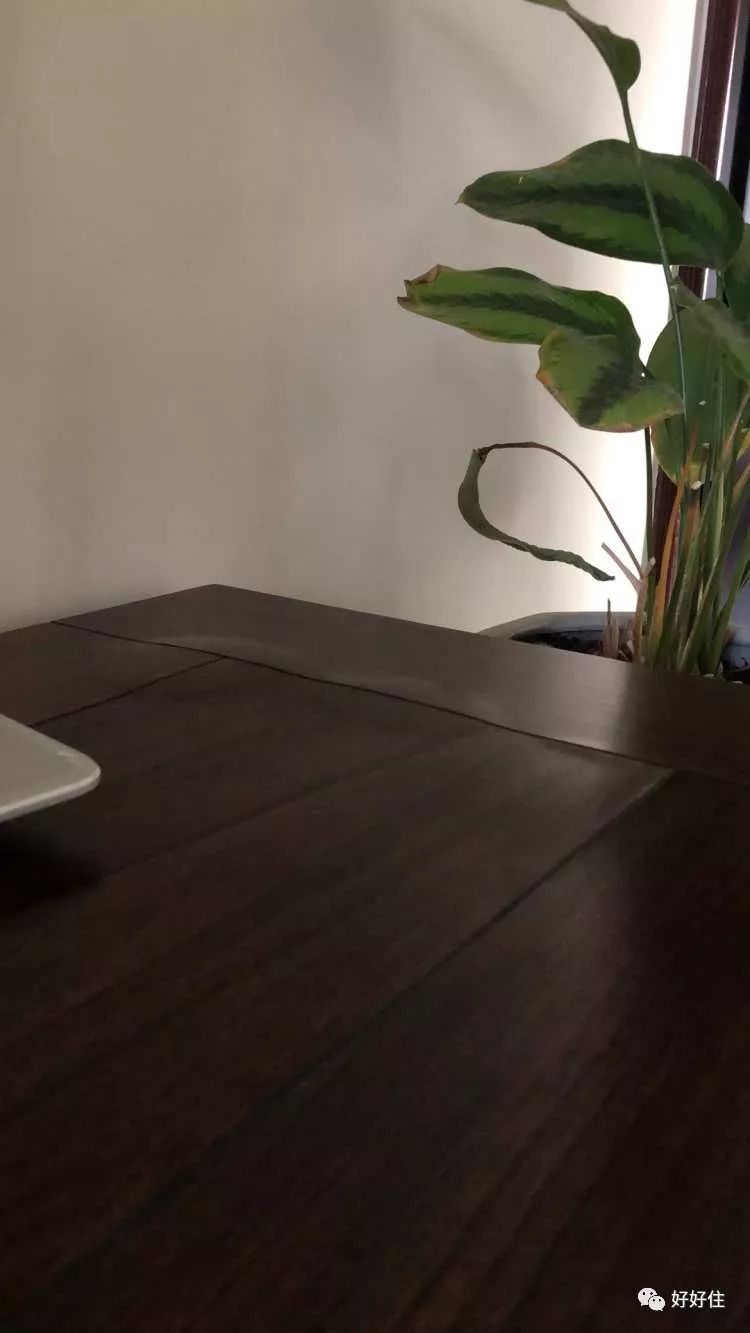 爱室丽家具开裂,爱室丽家居最新消息