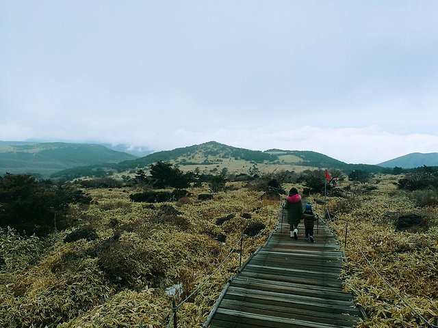 济州冬日的海，首尔春日的花，那些电影里的故事