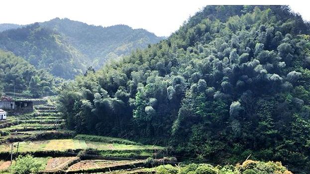 寻访红色足迹开头模板,寻访红色足迹重温革命记忆