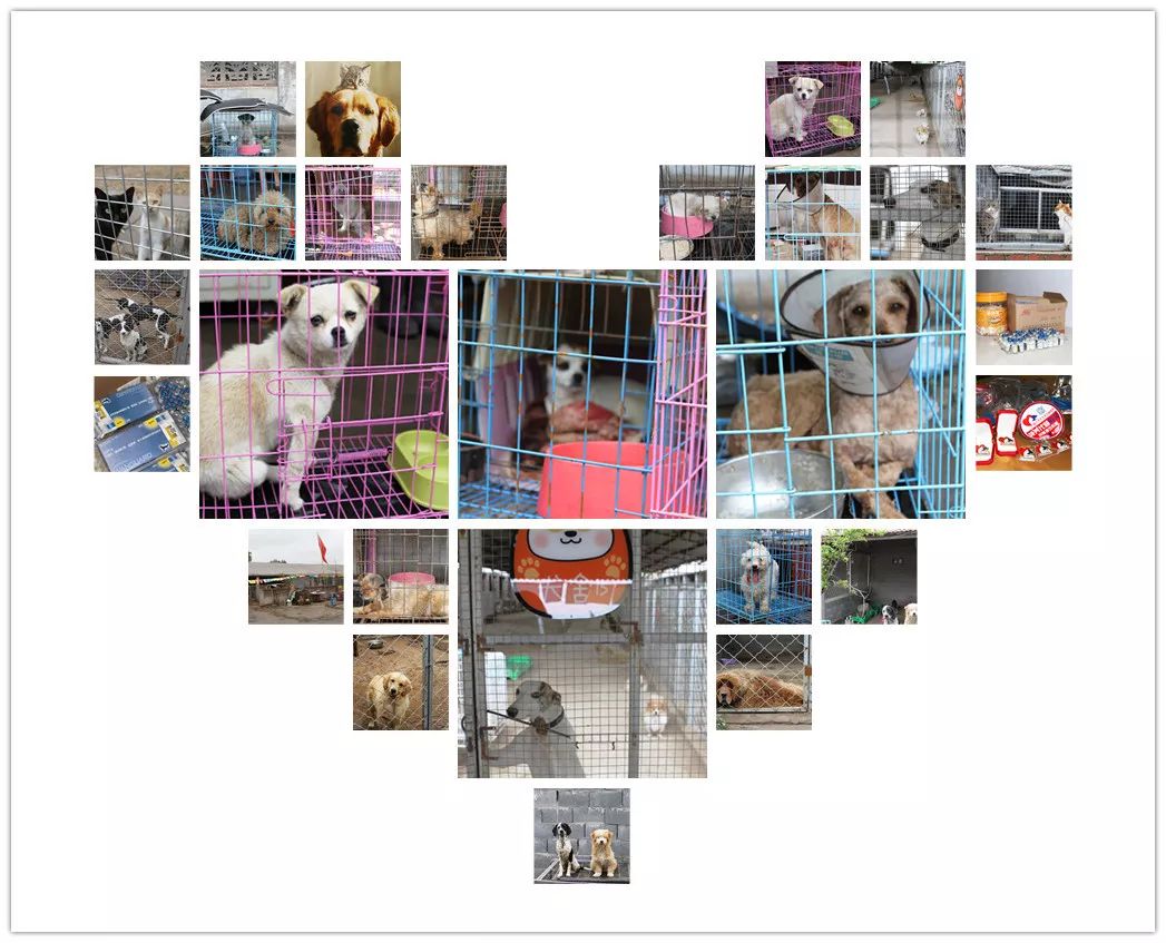 志愿沂蒙莒南,志愿沂蒙心连心