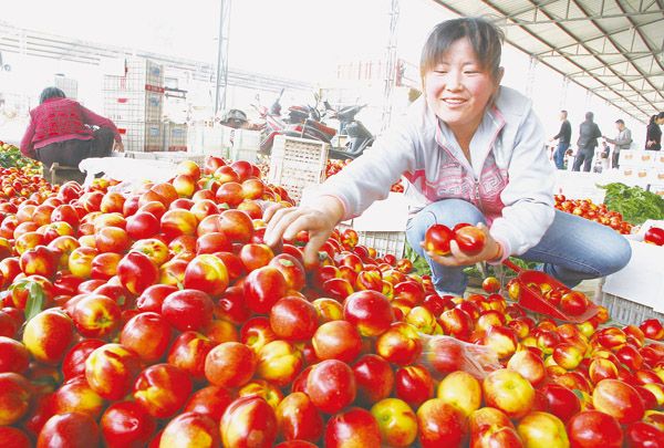 小小油桃“红”一年三个亿
