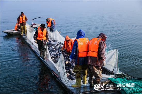 淄博:萌山水库上演人欢鱼跃“捕鱼季”首日捕鱼“鱼王”足足30斤