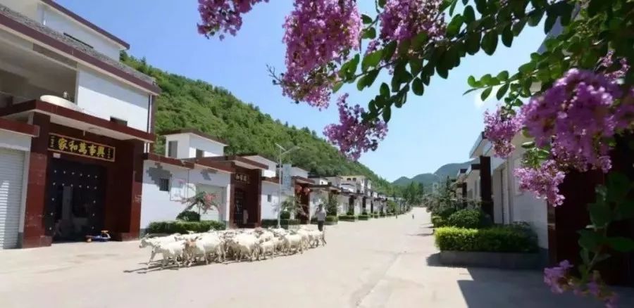 人说好山好水好风光,人说河南好风光