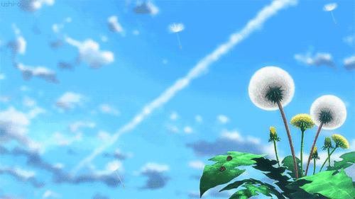 昆明滇池湖畔的美景美的让人陶醉,滇池的落日依旧那么美