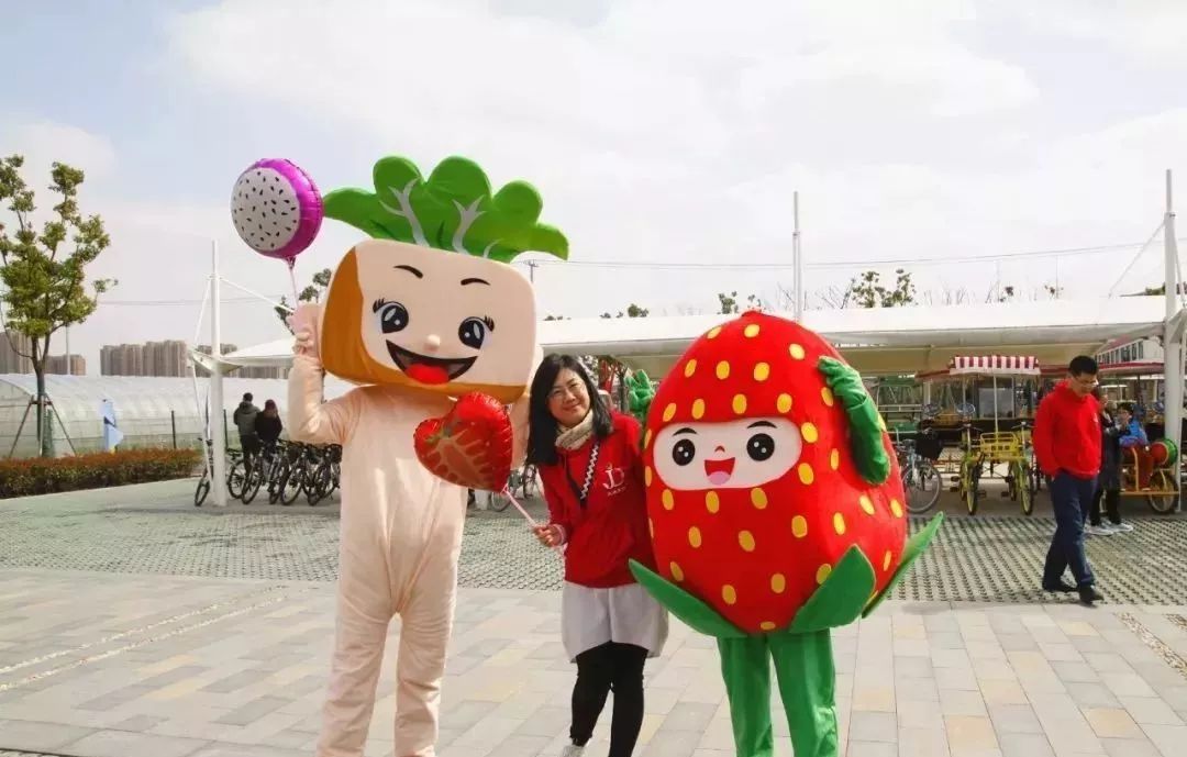 探索上海的特色景点,探索上海旅游景点和美食推荐