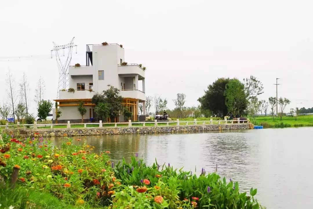 姹傚鐢熸棩娲惧甯冪疆,姹傚鍛婄櫧鐢熸棩娲惧甯冪疆