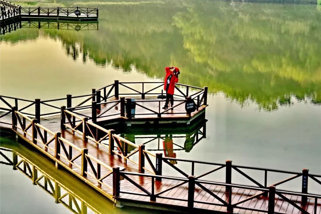 姹傚鐢熸棩娲惧甯冪疆,姹傚鍛婄櫧鐢熸棩娲惧甯冪疆