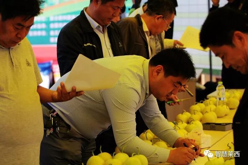 甜瓜节地点,马连庄甜瓜节开幕式