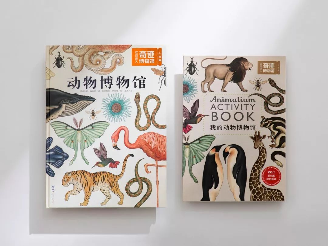 堪称一绝的野生动物画,世界动物画谱