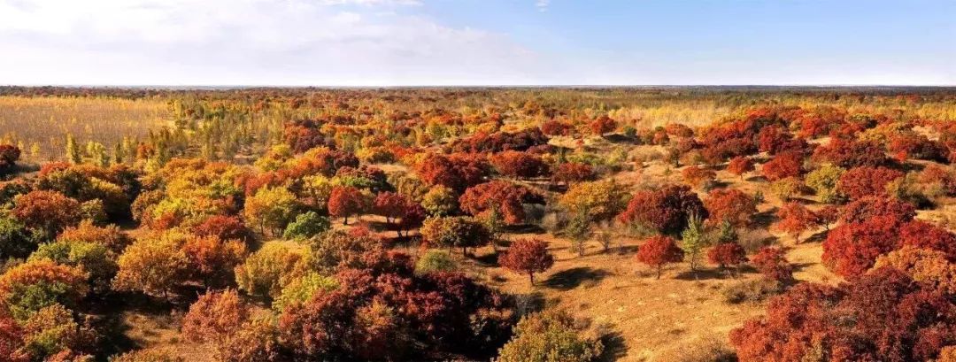 通辽文化旅游季来啦,通辽市哪里适合踏青