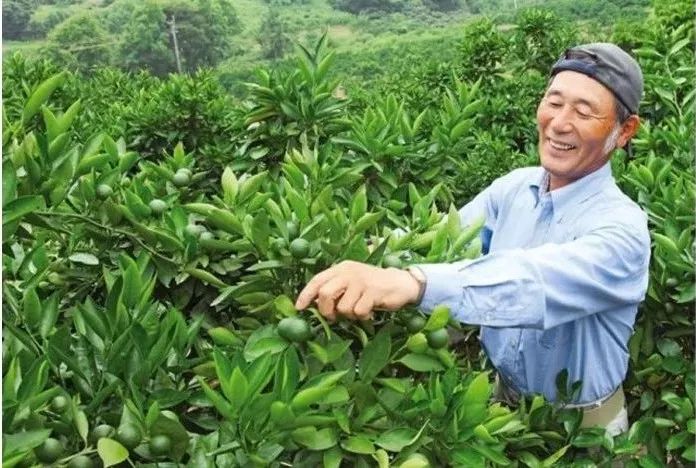 现在市场上脱发育发露有效果吗,防脱育发露对雄激素脱发有效果吗