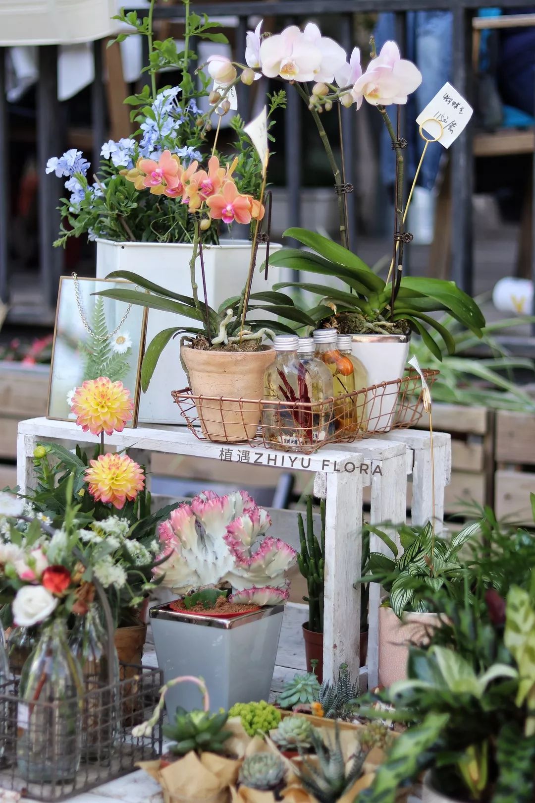 北京最美花店在哪里,北京哪个花店最美丽又好看