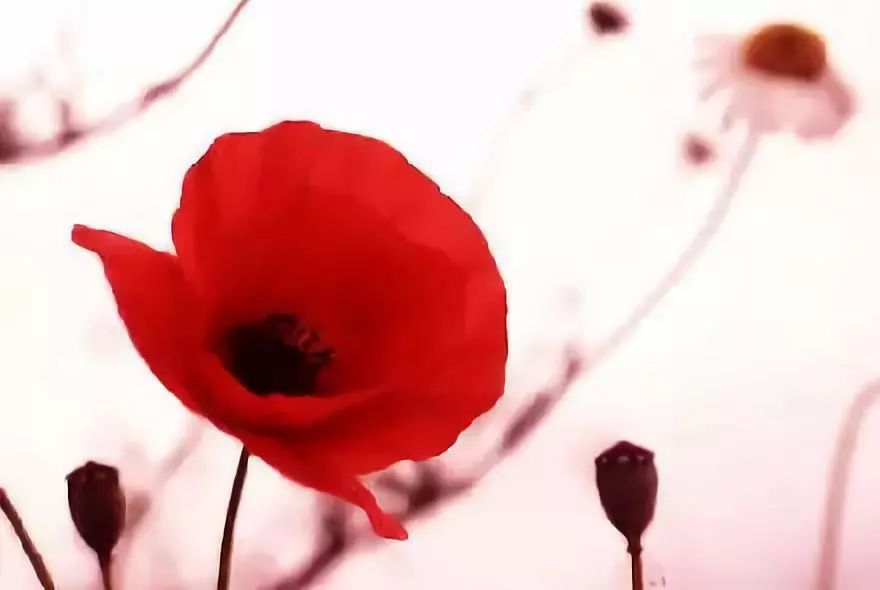 无痛人流就是“无损伤”人流吗？