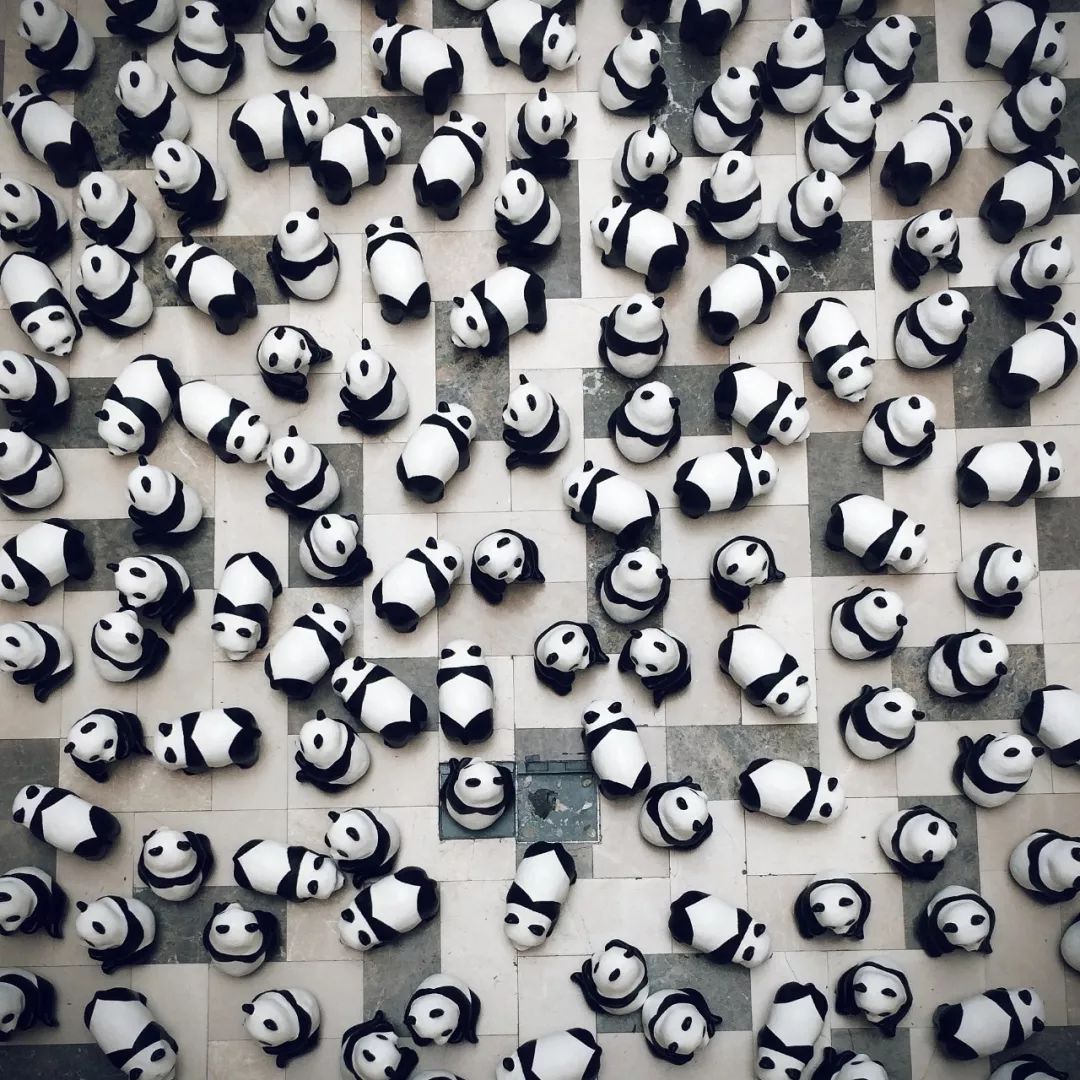 你才可爱你全家都可爱出处,你才可爱你全家都可爱怎么回