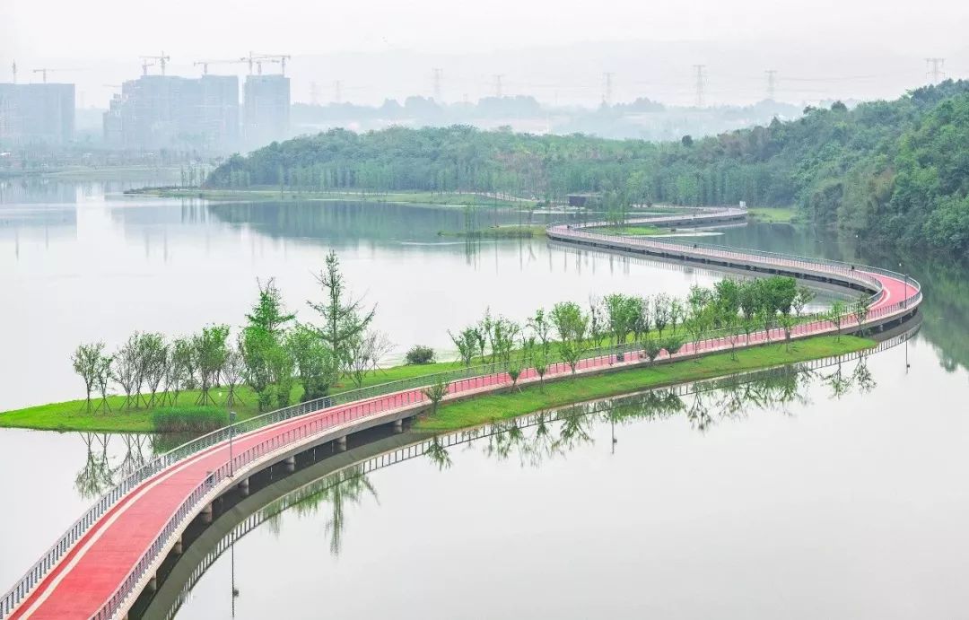 熊猫萌啦,熊猫萌