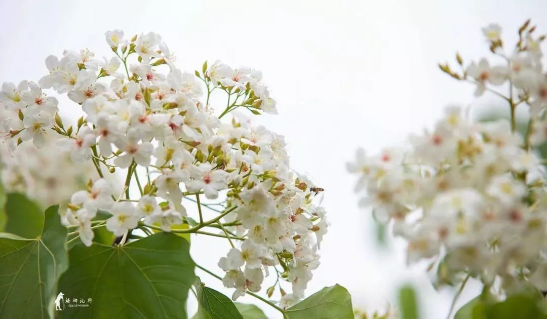 不必远行自有风景,不必远行在家度假