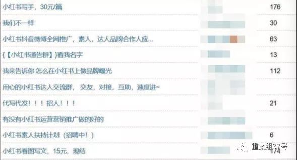小红书代写分享,小红书代发文赚钱