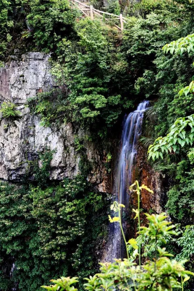 分享|什么?贵州5个公园入选国家级名单,但这两个,连资深玩家都没听说过