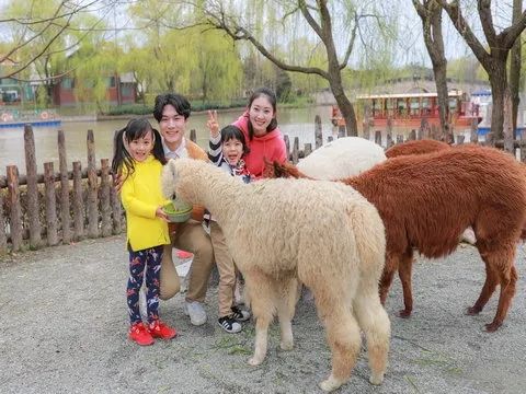 去处｜你真的知道怎么玩转上海野生动物园吗？最全指南在这里！