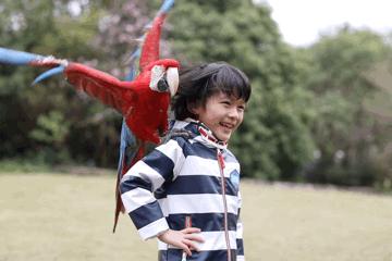 去处｜你真的知道怎么玩转上海野生动物园吗？最全指南在这里！