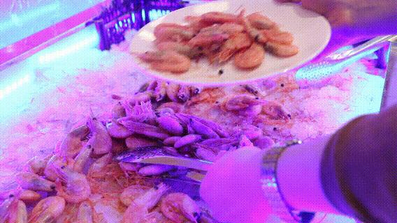 海鲜随便吃…还奖100块？遇上哈尔滨这家新店开业，减肥*党**哭了