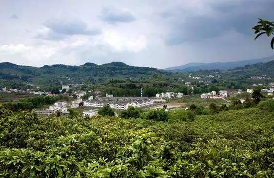 不必远行自有风景,不必远行在家度假