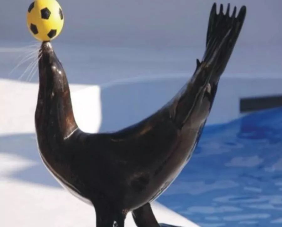 五一嗨起来山东济南,五一节嗨起来视频