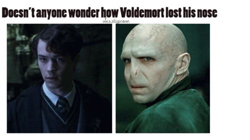 nopicnic,nopicnic什么意思