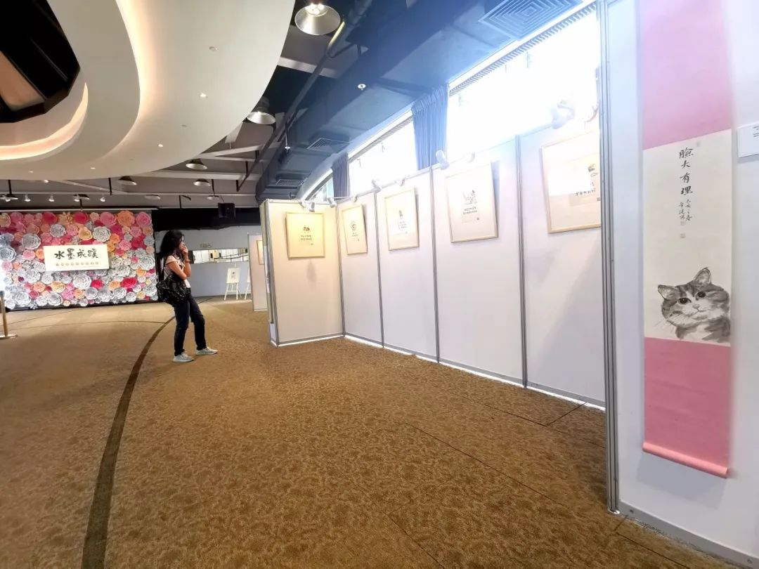 小林的专访,小林最新访谈节目