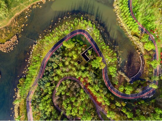 城市公园玩法,公园城市新模式