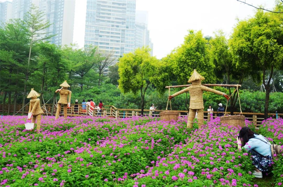 佛山亲子游好去处免门票花海,佛山儿童公园游玩攻略