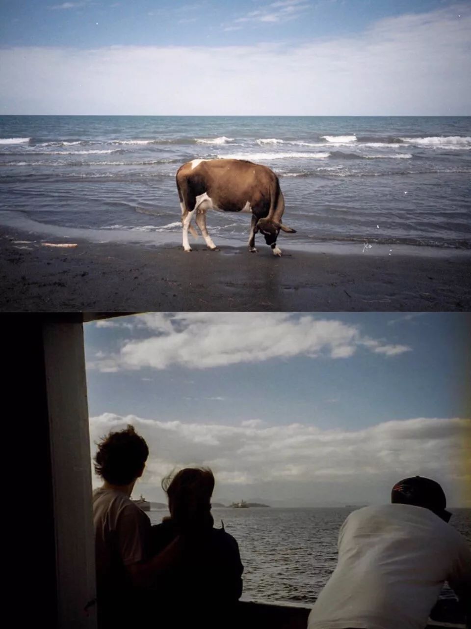 入坑胶片你真的需要一台胶片机吗,为什么不推荐新手买胶片机