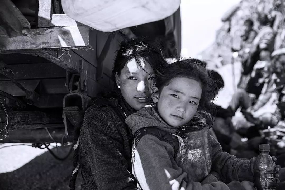 撞死了一只羊要表达的主题,撞死了一只羊的意义