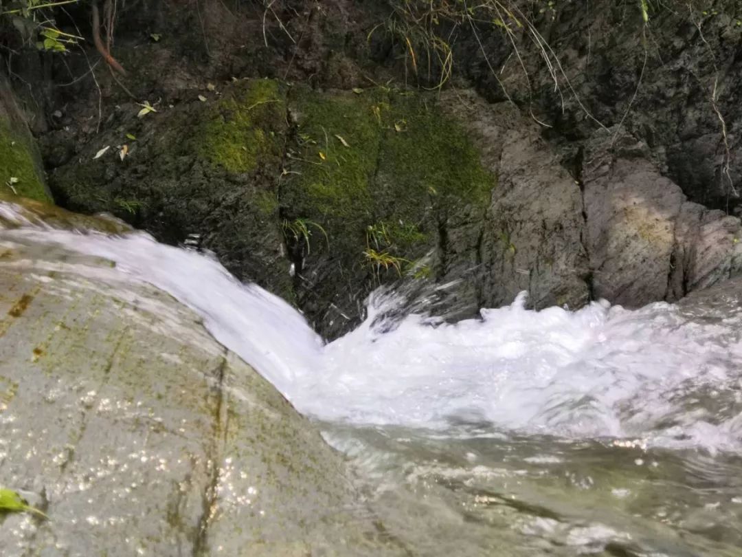 拒绝人从众模式,拒绝人从众的意思