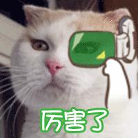 奢侈品管理留学全球第一,中国留学生学奢侈品管理