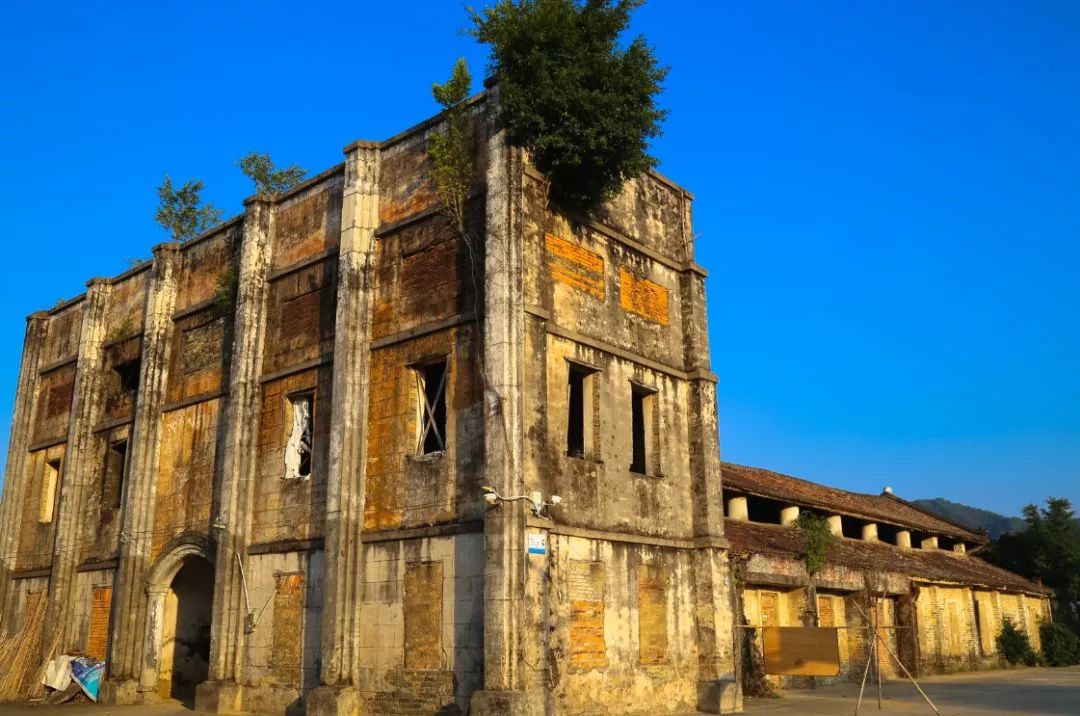 广州市增城区乡村风景图片,增城美丽乡村图