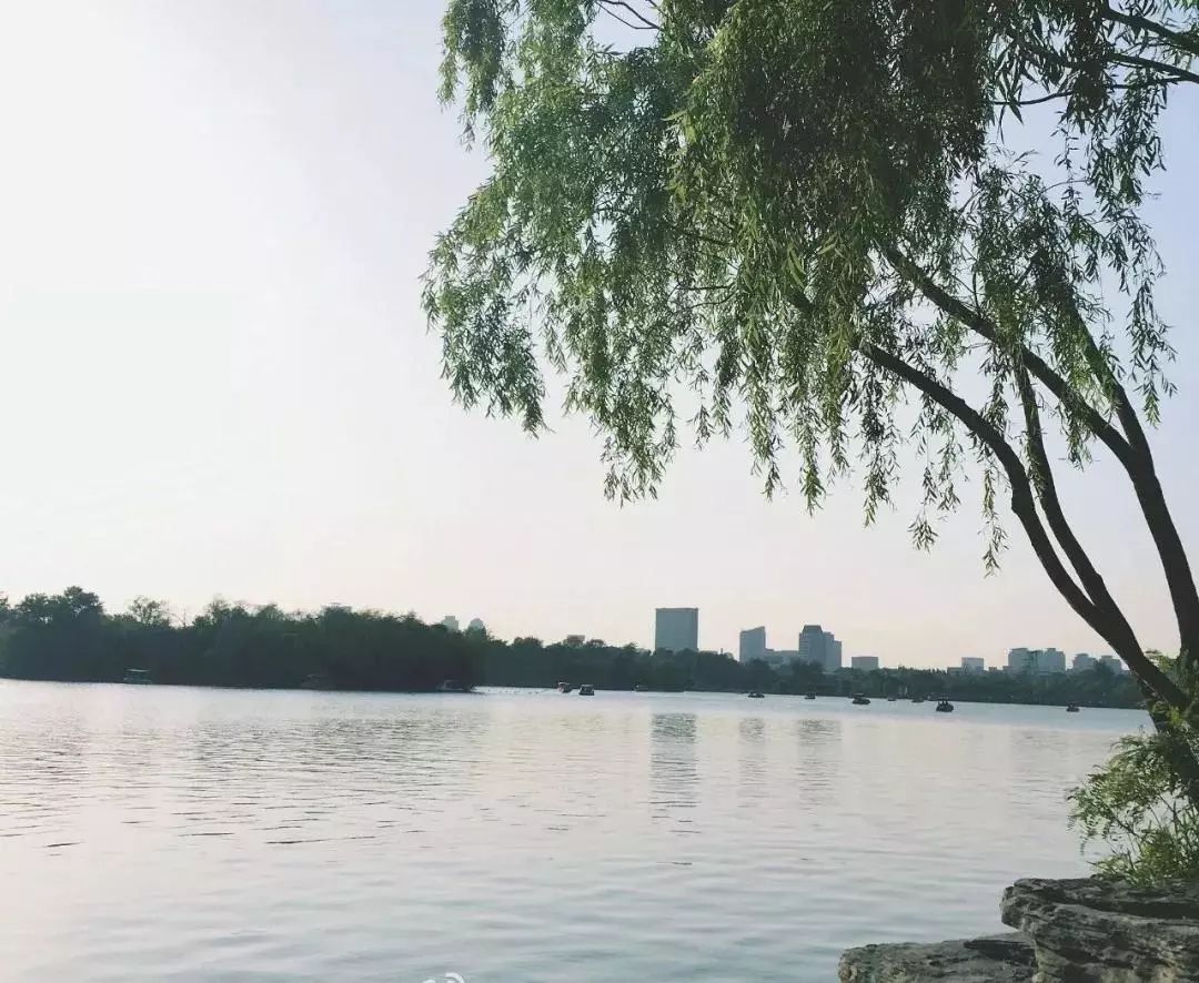 天津免费18个公园,城事天津