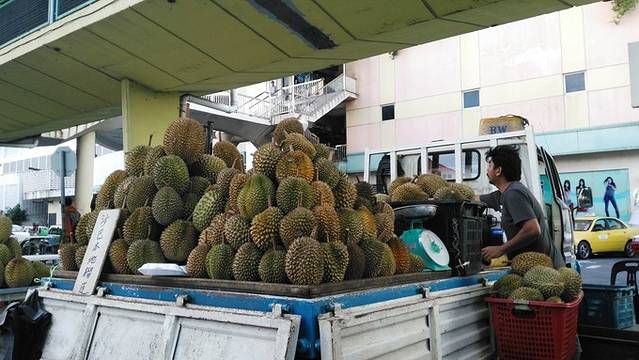 亚庇攻略三天两晚,亚庇选岛攻略
