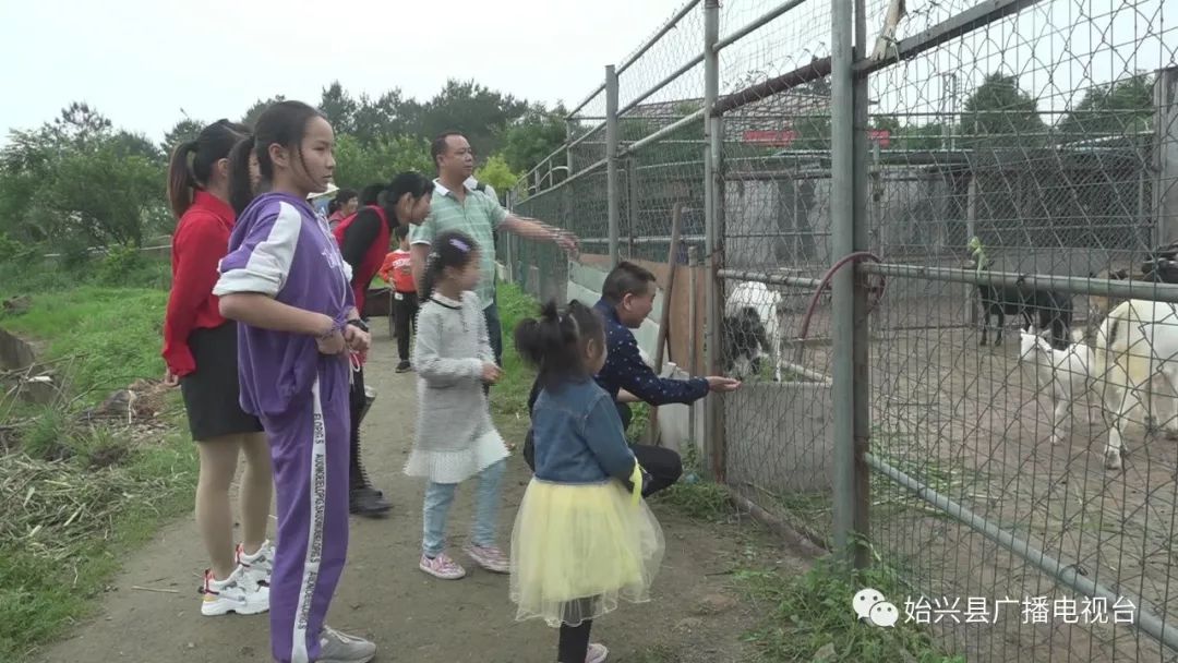 始兴开心农庄,始兴顿岗开心农庄要不要门票