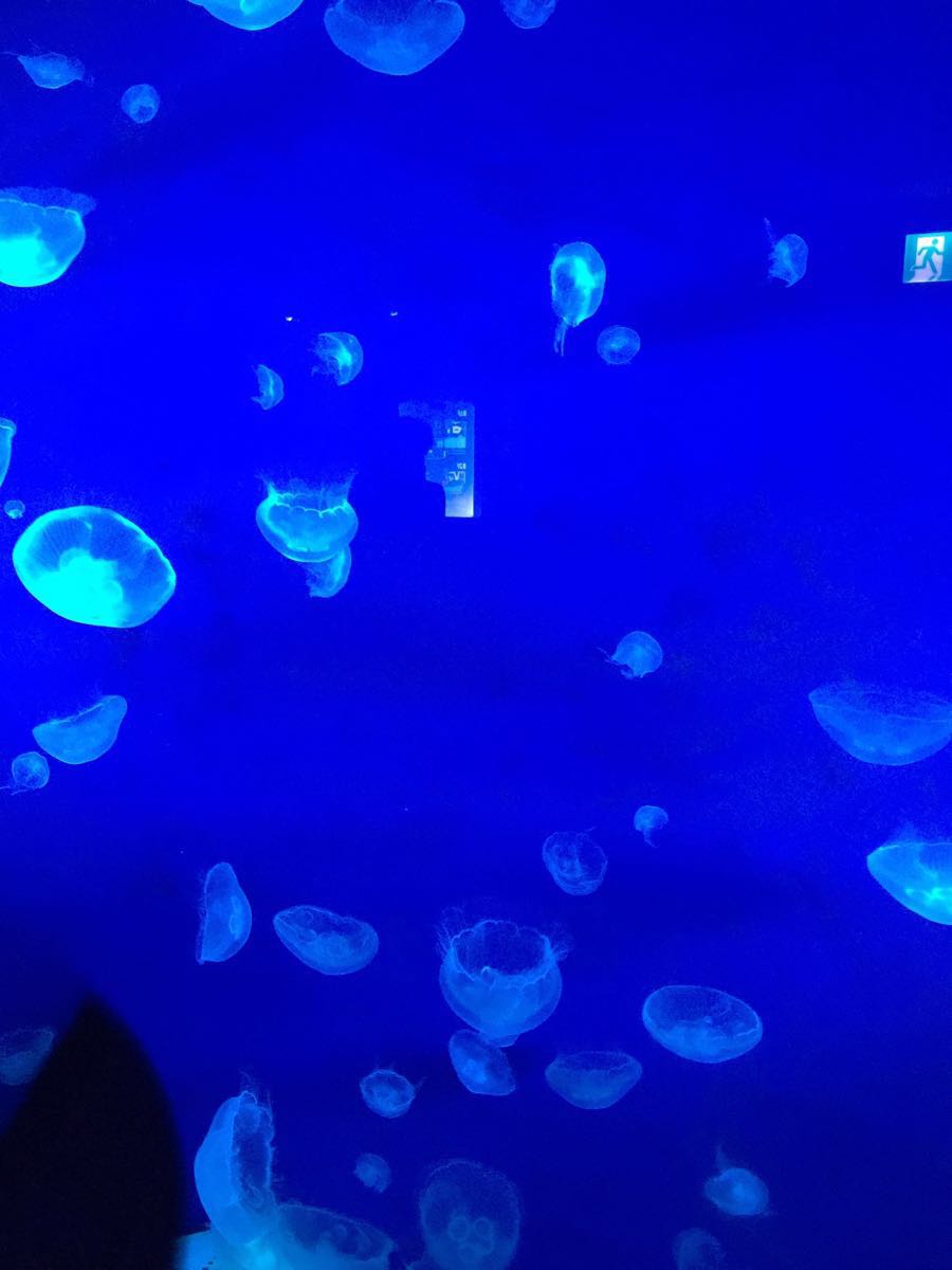 韩国首尔旅游花销,在韩国首尔花销大吗