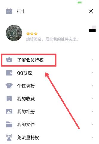 qq大会员开通一年升级需要多少天,qq大会员升级怎样才能更快