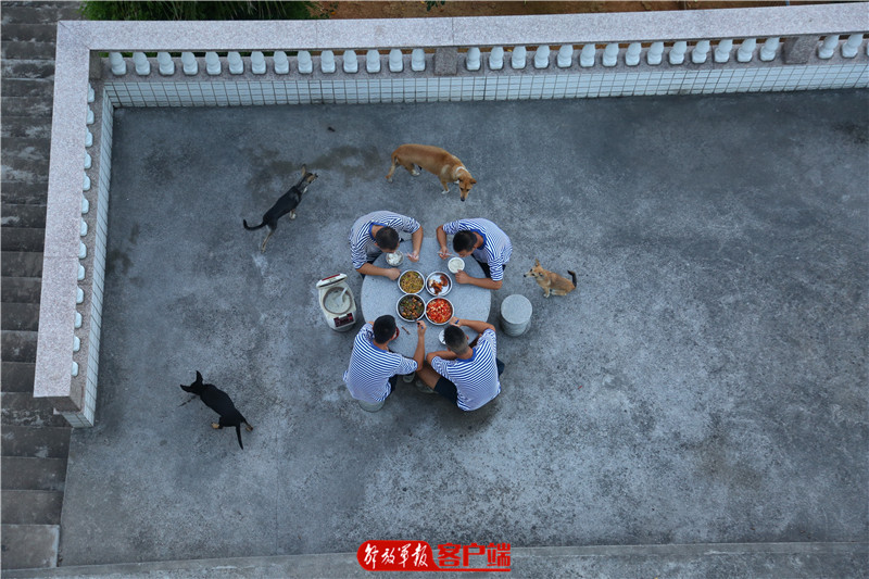 大山里的水兵完整视频,大山里的海军部队