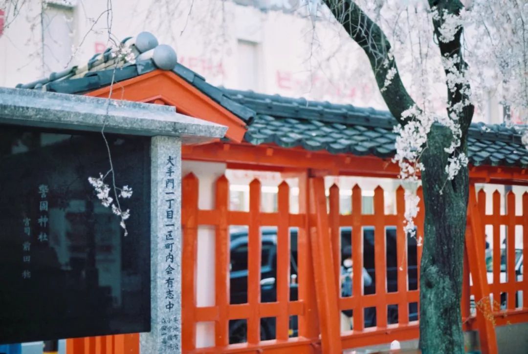 日本发现的大宝藏,日本挖出大宝藏